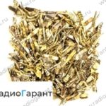Купим Разъем РР вилка лигатура Желтые контакты. Скупка радиодеталей "Радио Гарант". Дорого. Покупаем Разъемы в Москвае и по всей России.